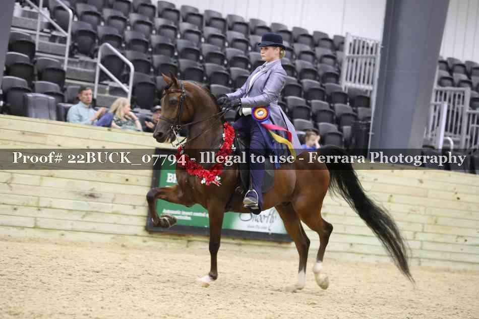 Proof 22BUCK_07794