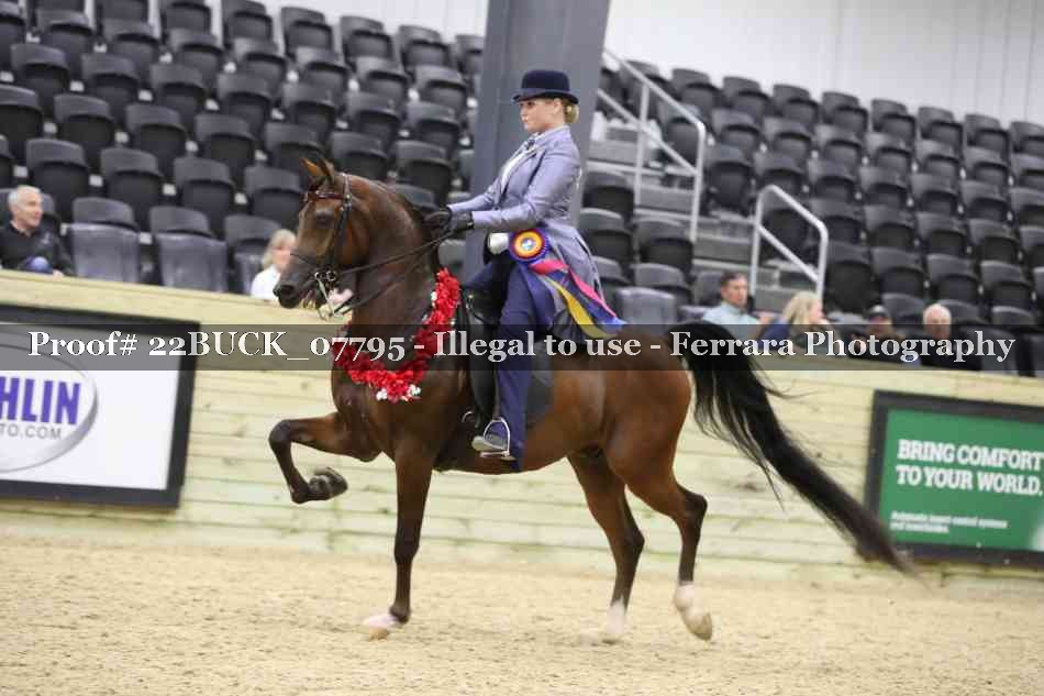Proof 22BUCK_07795