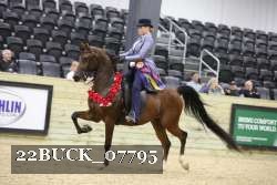 22BUCK_07795 proof