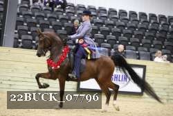 22BUCK_07796 proof