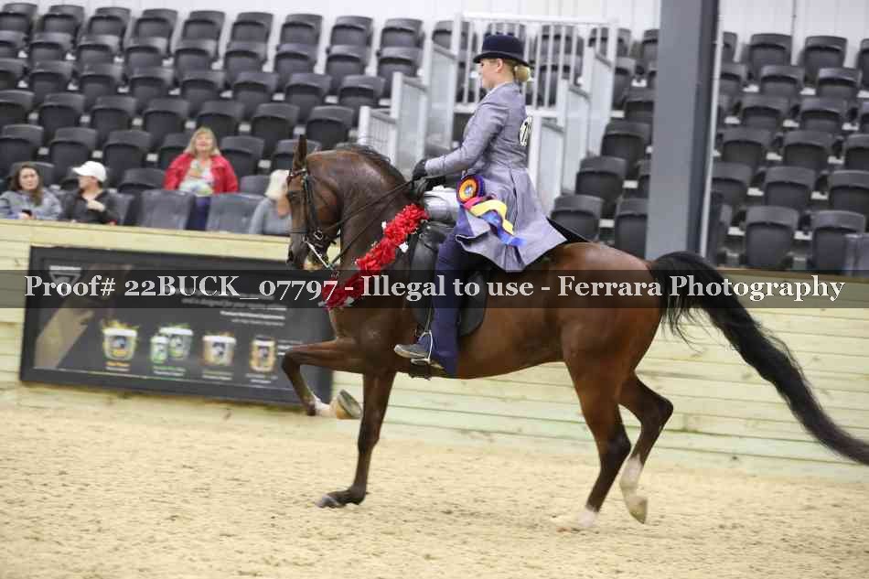 Proof 22BUCK_07797
