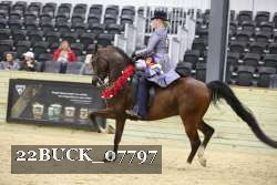 22BUCK_07797 proof