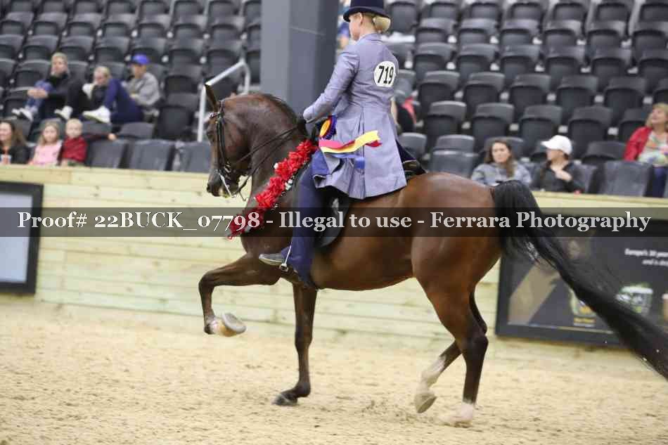 Proof 22BUCK_07798