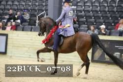 22BUCK_07798 proof