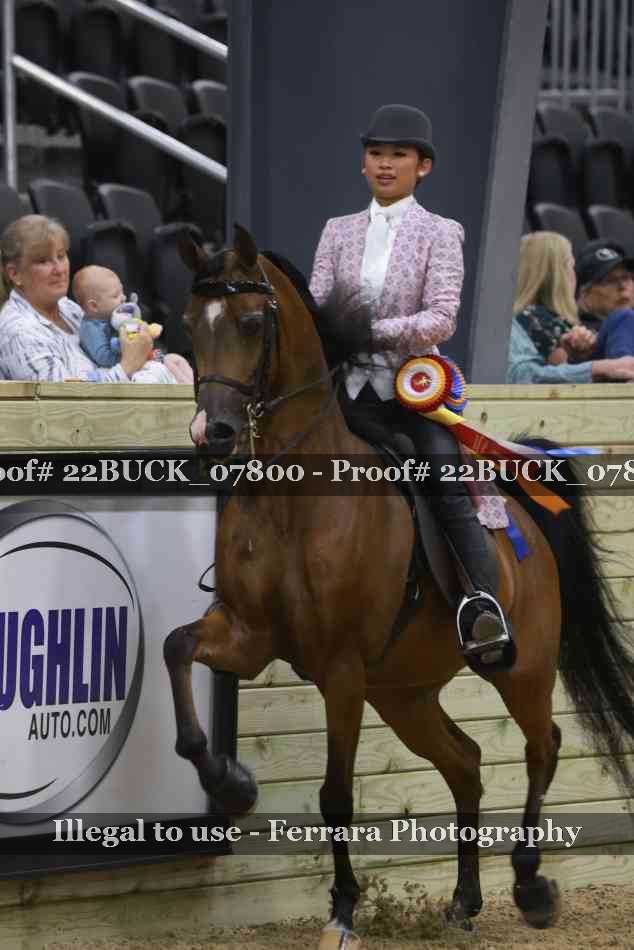 Proof 22BUCK_07800