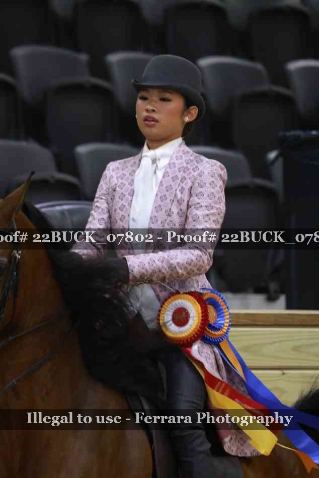 Proof 22BUCK_07802