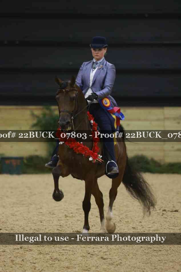 Proof 22BUCK_07803