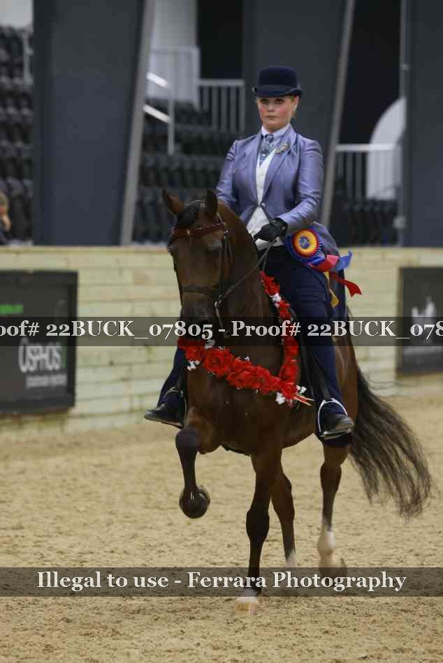 Proof 22BUCK_07805