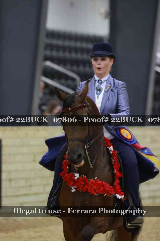 Proof 22BUCK_07806