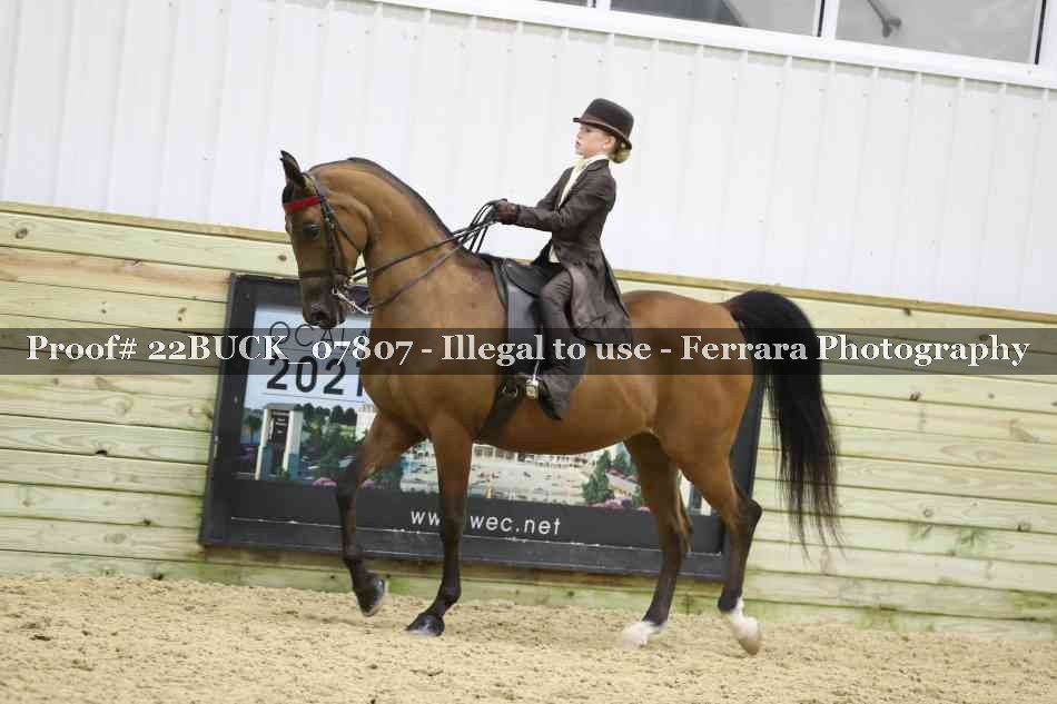 Proof 22BUCK_07807