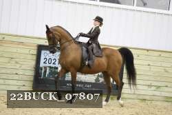 22BUCK_07807 proof