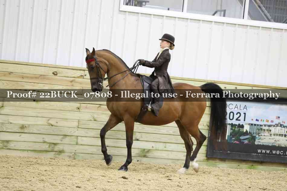 Proof 22BUCK_07808
