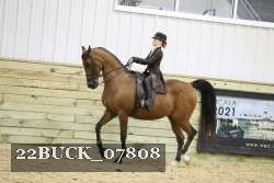 22BUCK_07808 proof