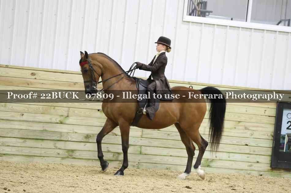 Proof 22BUCK_07809