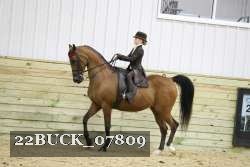 22BUCK_07809 proof