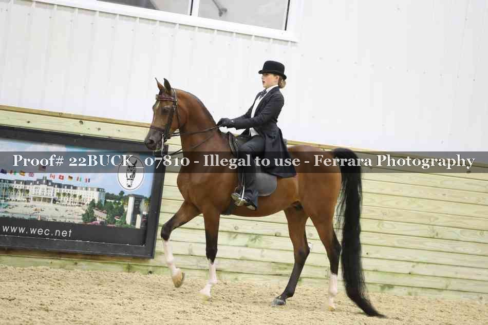 Proof 22BUCK_07810