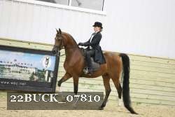 22BUCK_07810 proof