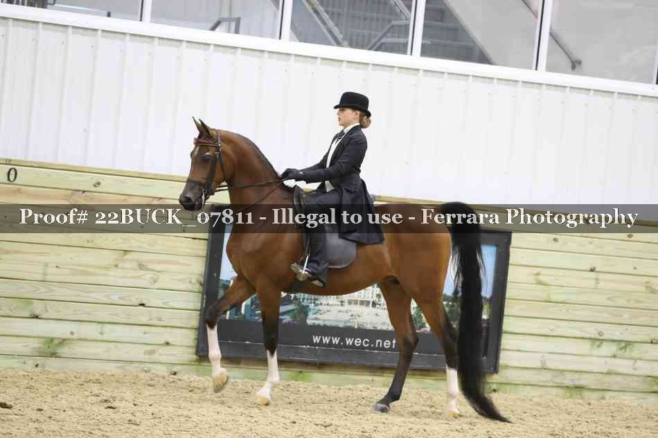 Proof 22BUCK_07811