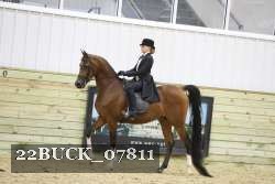 22BUCK_07811 proof