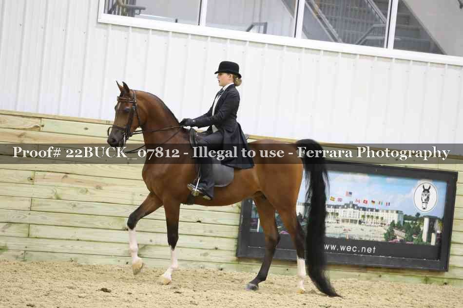 Proof 22BUCK_07812