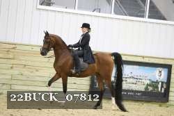 22BUCK_07812 proof