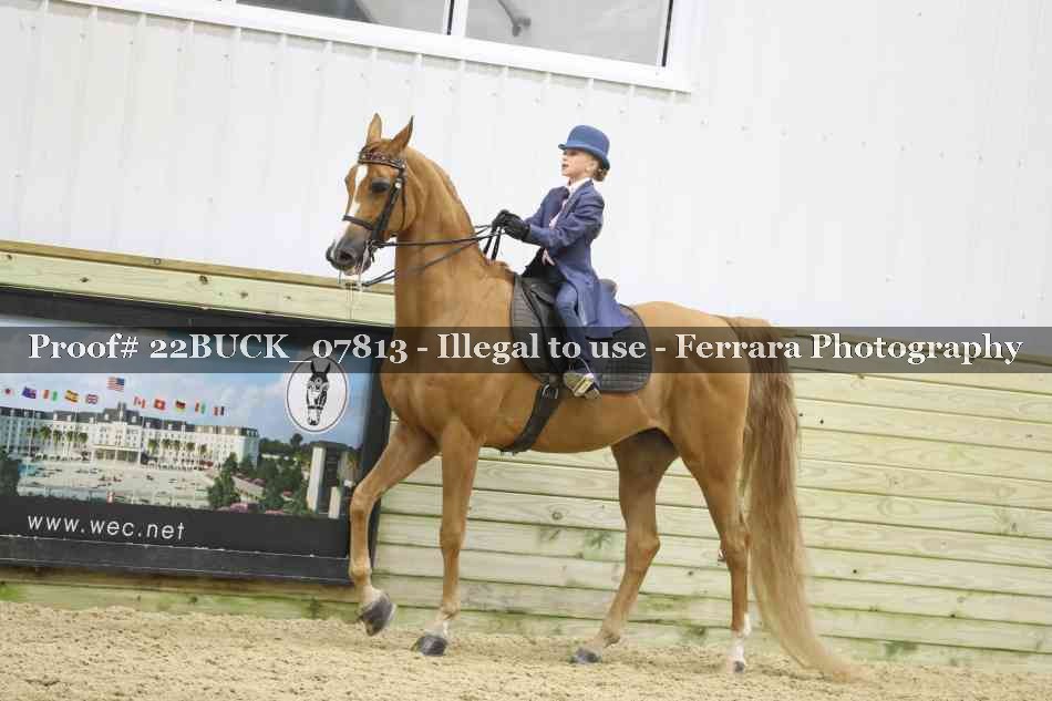 Proof 22BUCK_07813