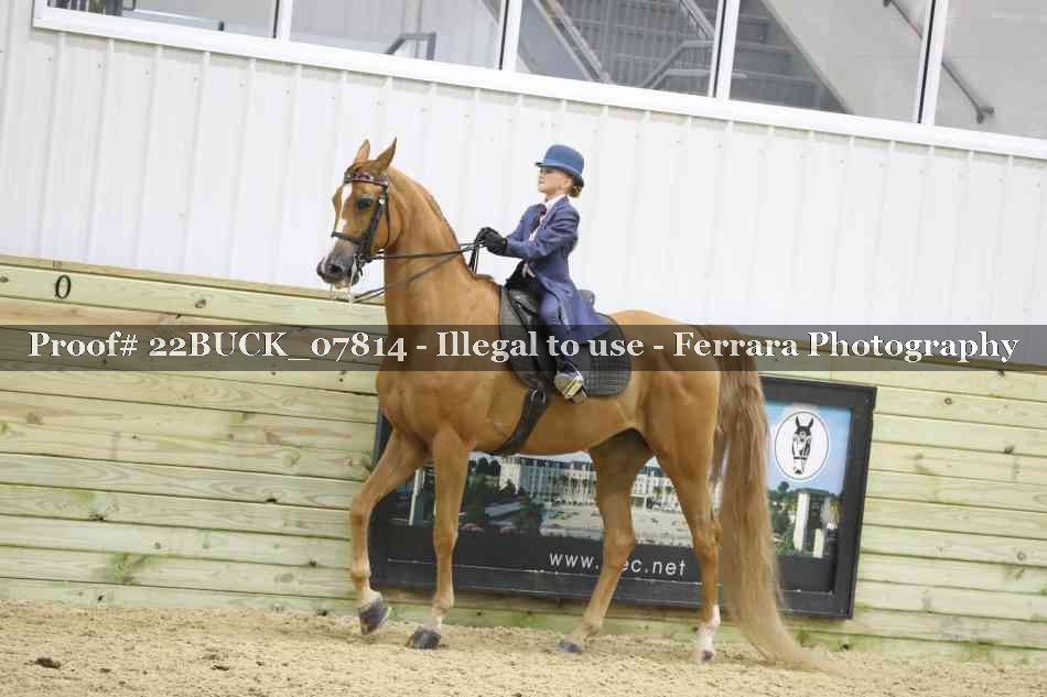 Proof 22BUCK_07814