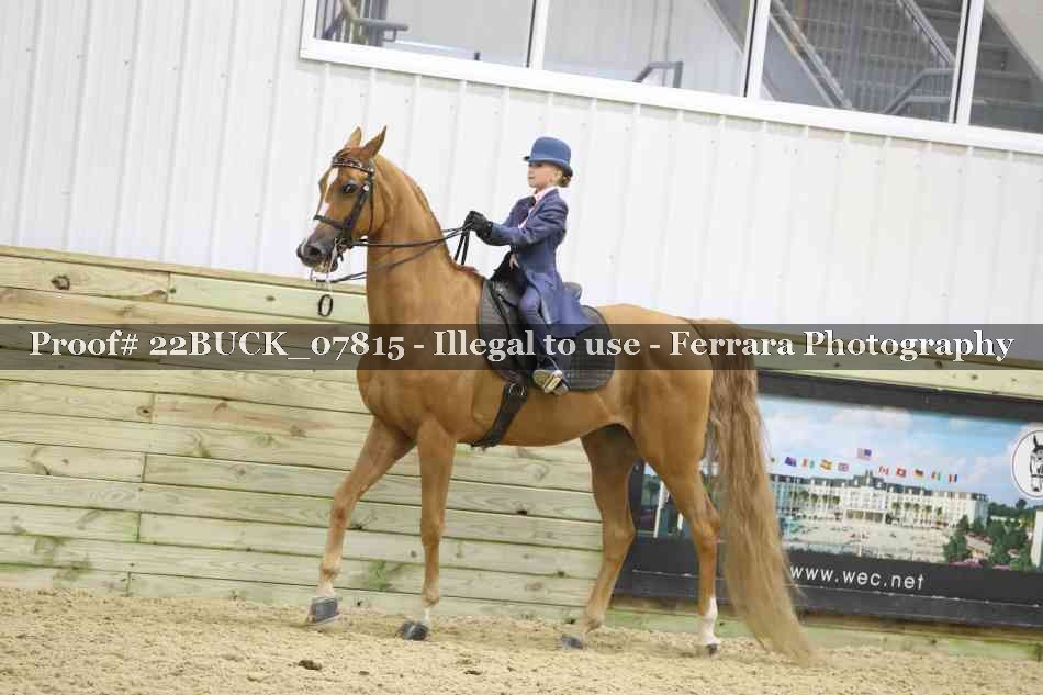 Proof 22BUCK_07815