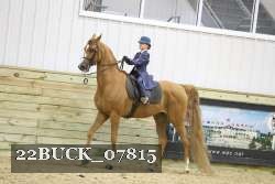 22BUCK_07815 proof