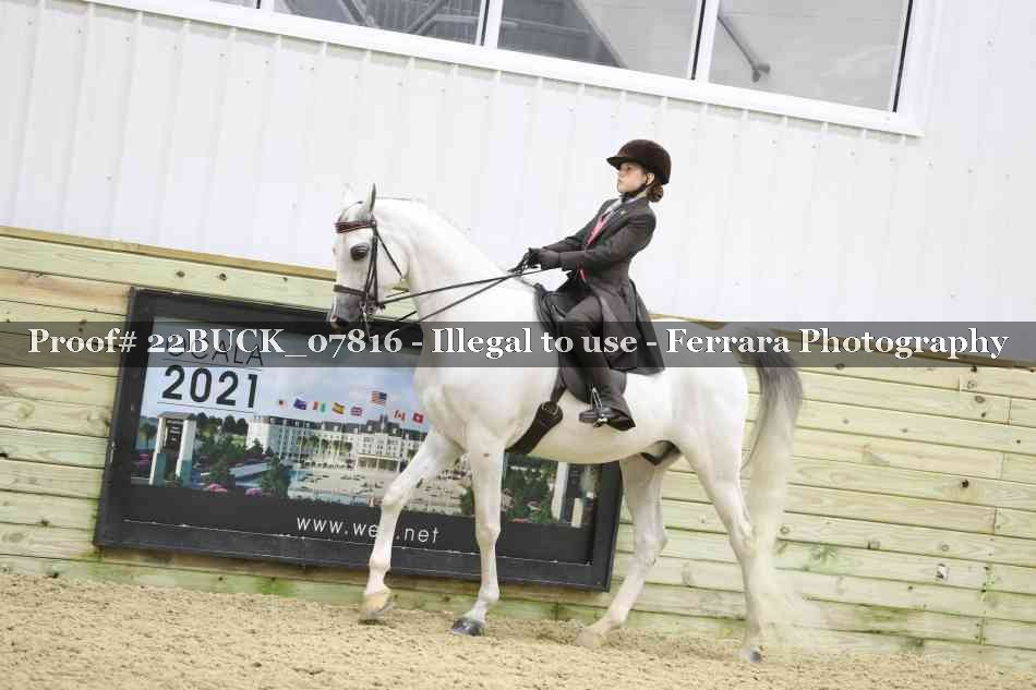 Proof 22BUCK_07816