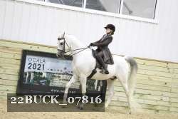 22BUCK_07816 proof