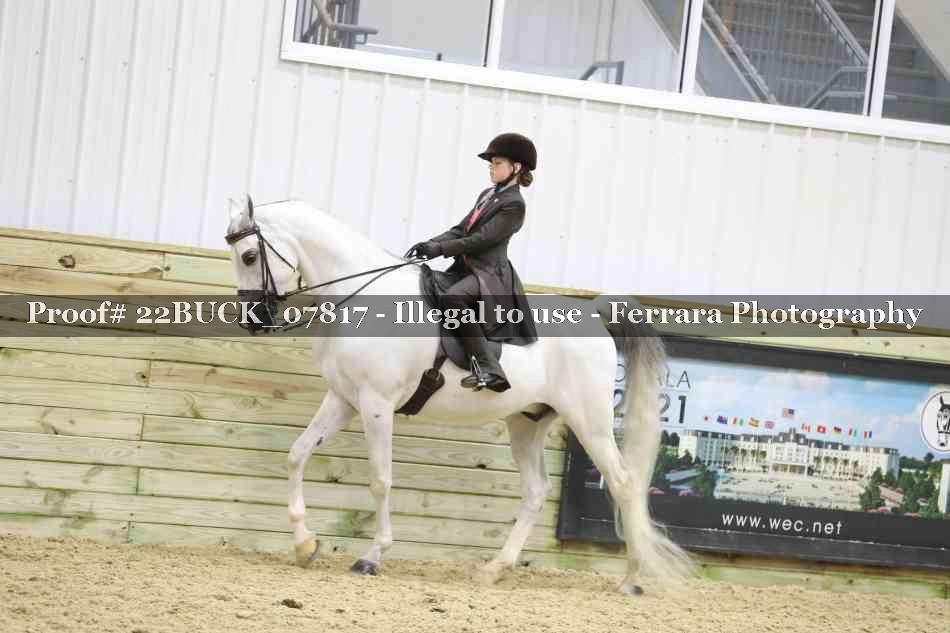 Proof 22BUCK_07817