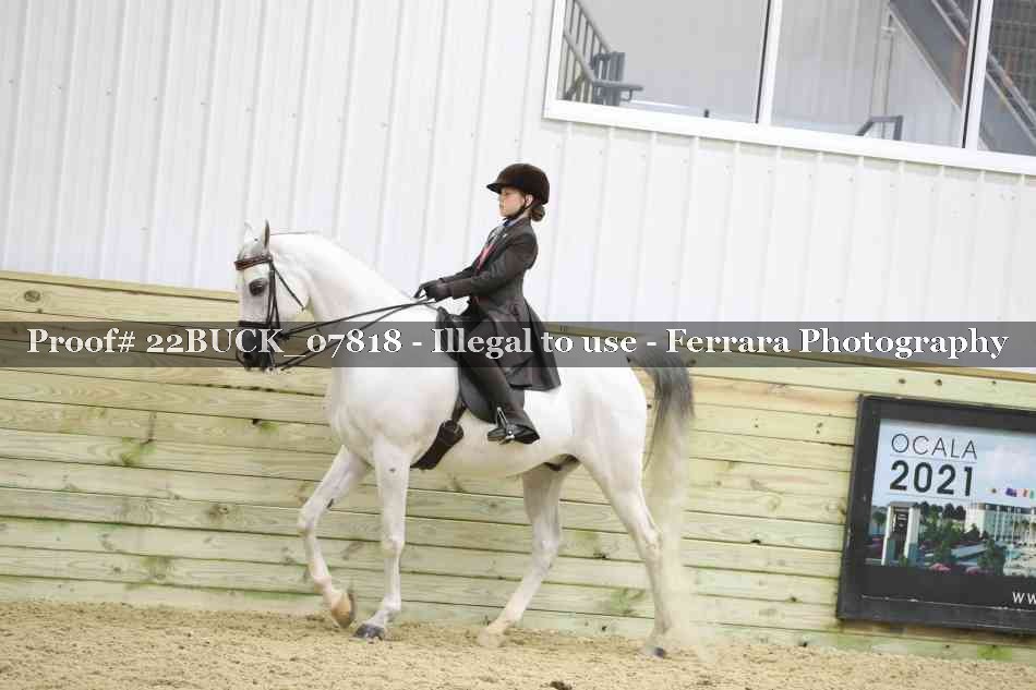 Proof 22BUCK_07818