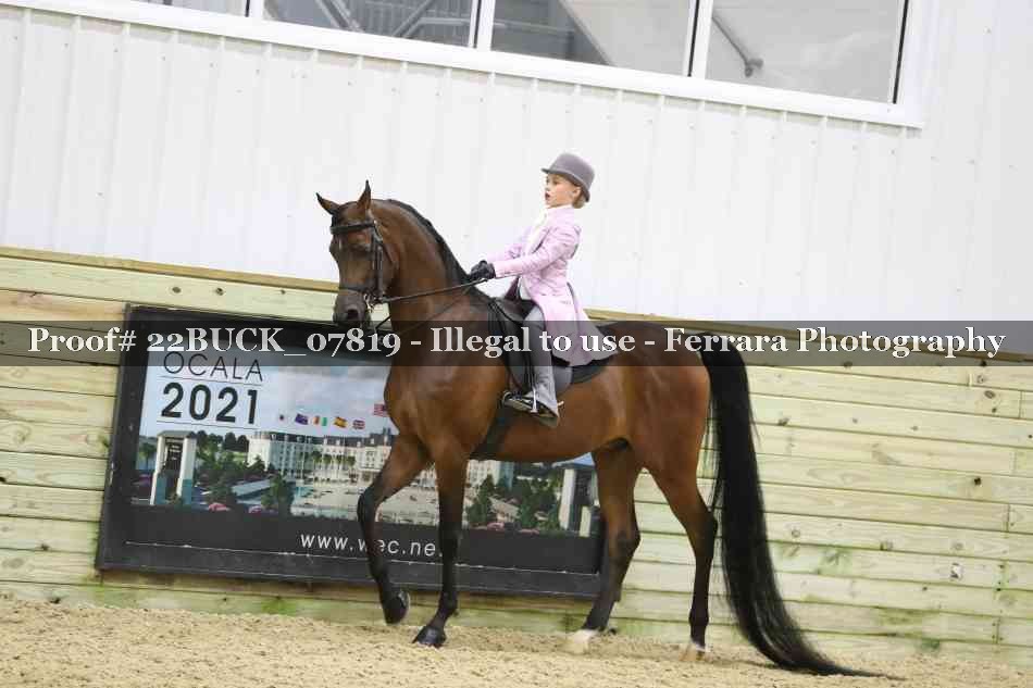 Proof 22BUCK_07819