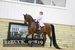22BUCK_07819 proof