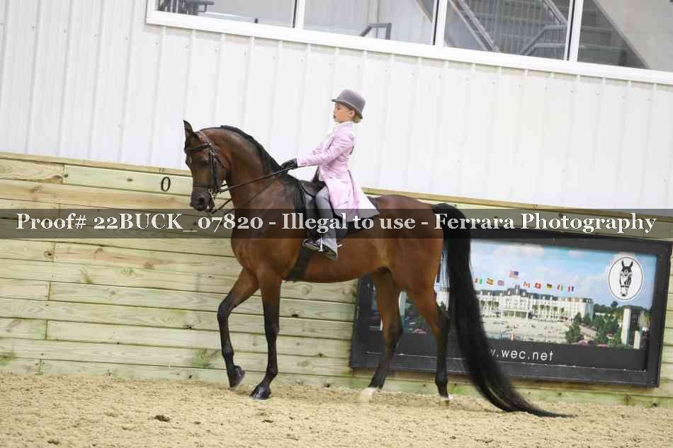 Proof 22BUCK_07820