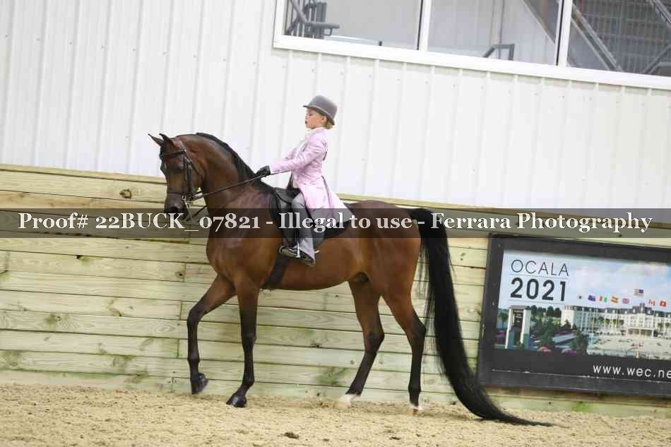 Proof 22BUCK_07821