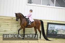 22BUCK_07821 proof