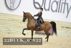 22BUCK_07822 proof