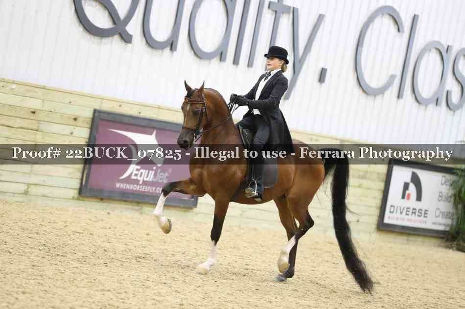 Proof 22BUCK_07825