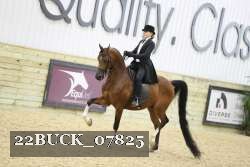 22BUCK_07825 proof