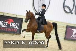22BUCK_07826 proof