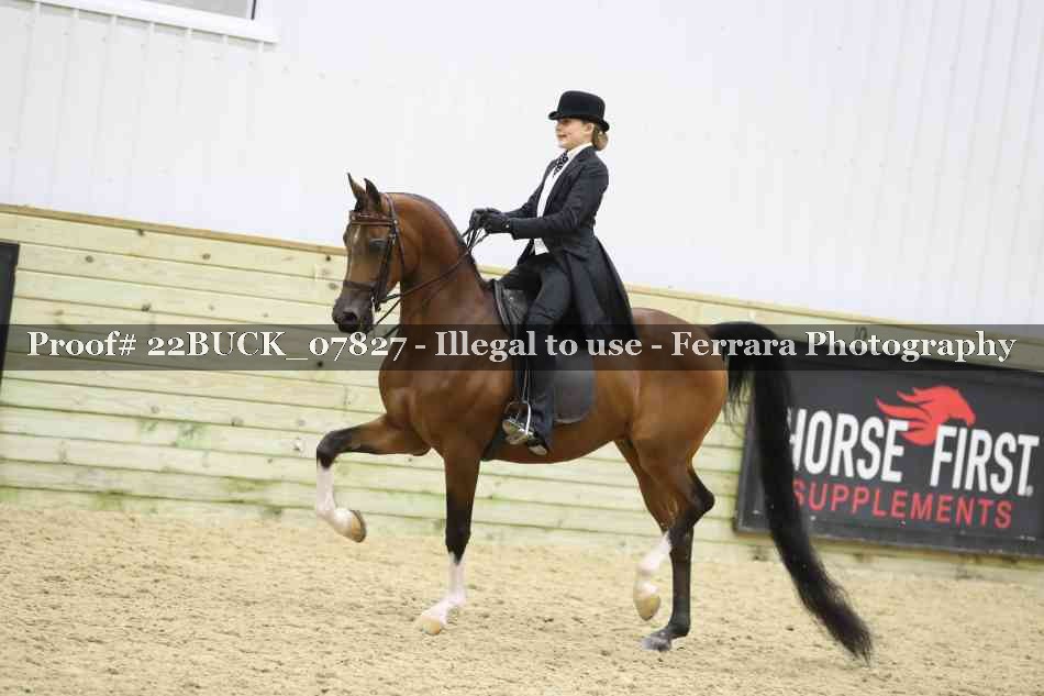 Proof 22BUCK_07827