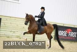 22BUCK_07827 proof