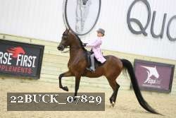 22BUCK_07829 proof