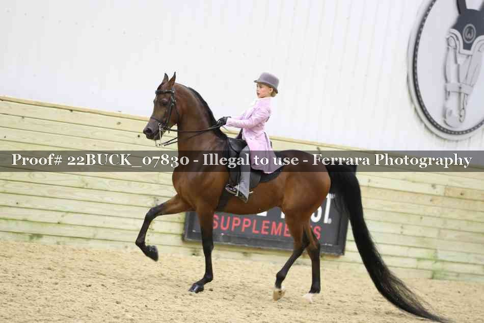 Proof 22BUCK_07830