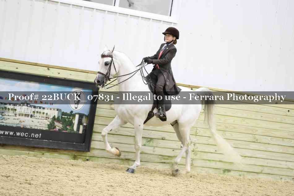 Proof 22BUCK_07831