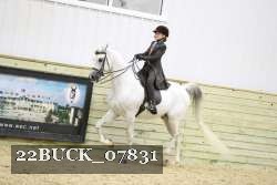 22BUCK_07831 proof