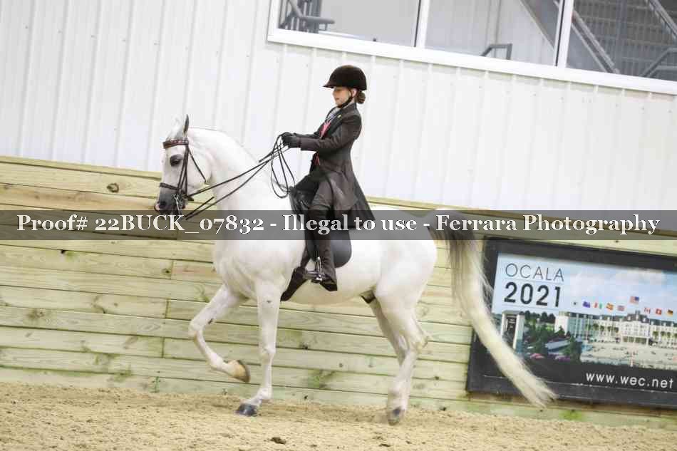 Proof 22BUCK_07832