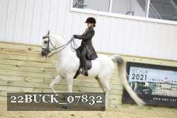 22BUCK_07832 proof